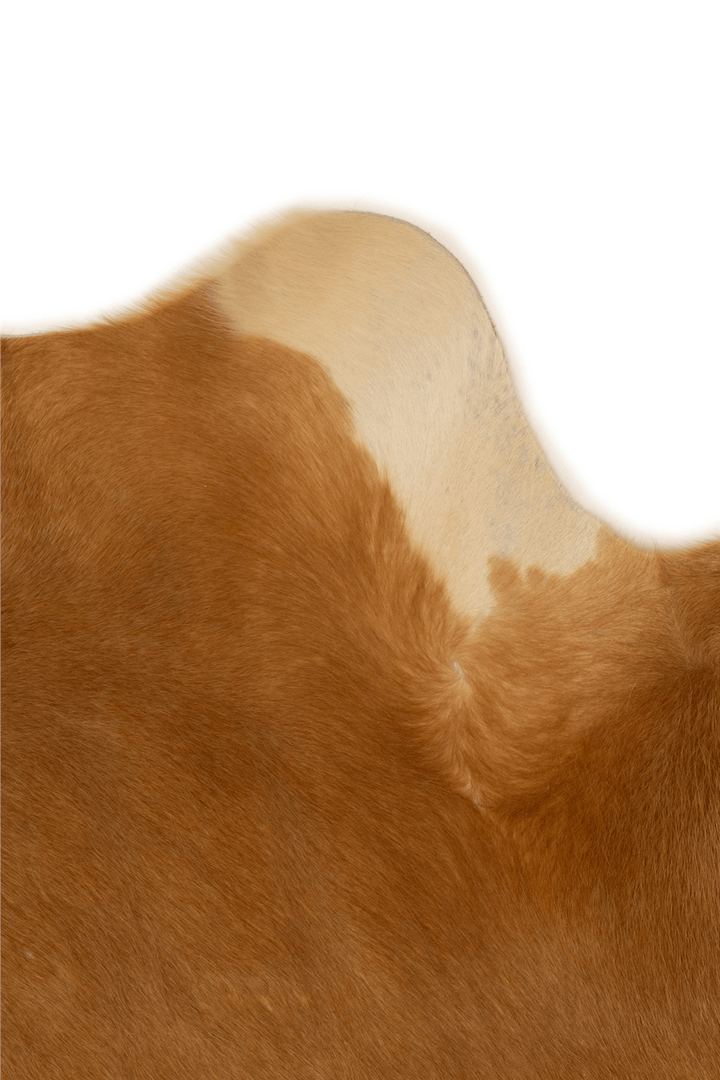 Taba Savanna Montana Dana Derisi Post Halı