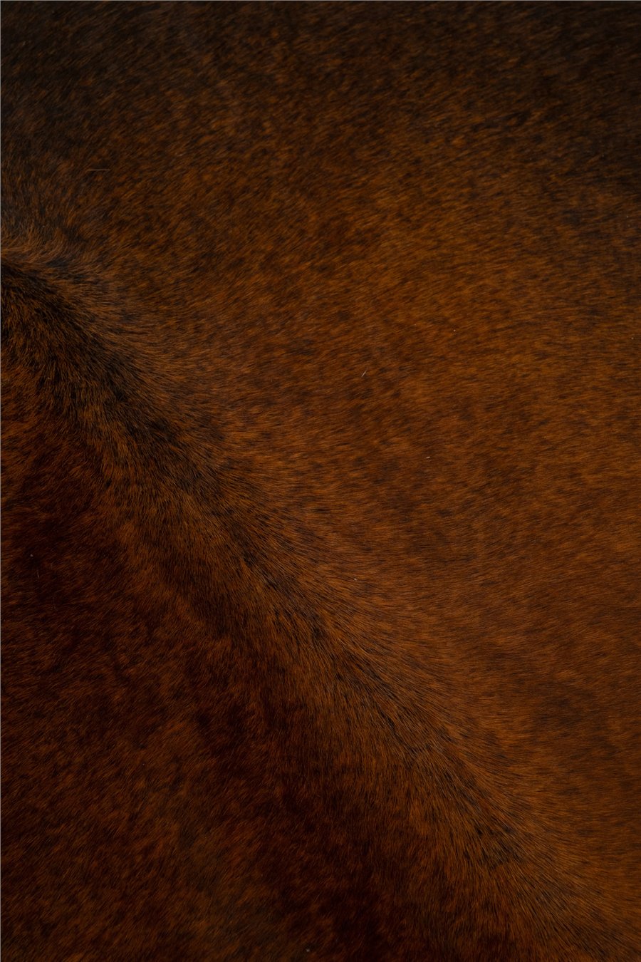 Kahve-Siyah Savanna Montana Dana Derisi Post Halı
