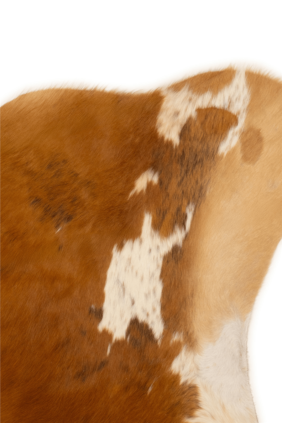 Taba-Beyaz Savanna Rodeo Dana Derisi Post Halı